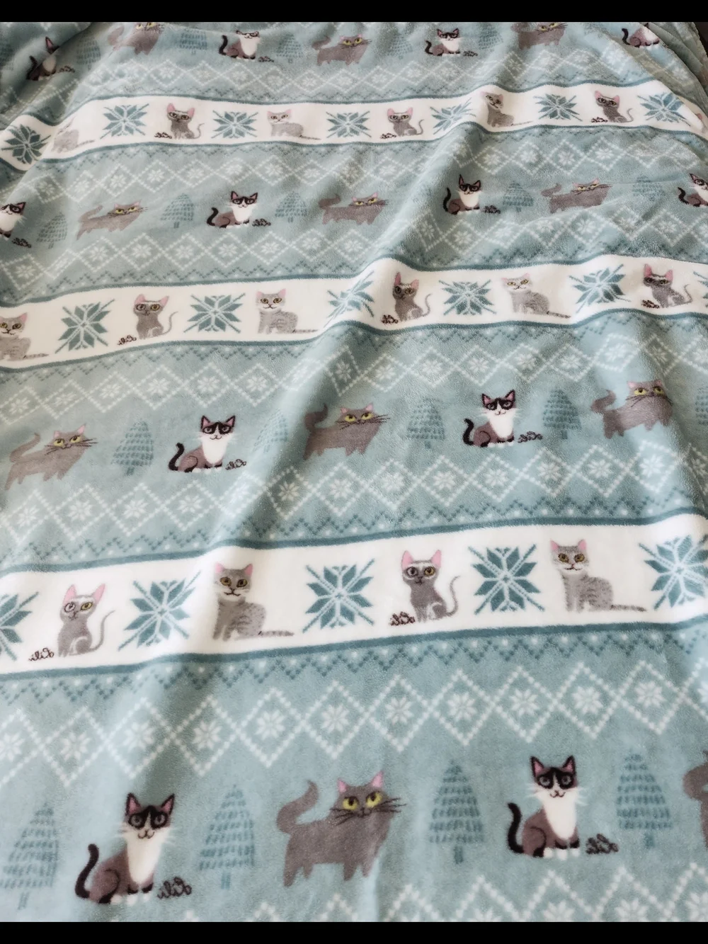 Berkshire Blanket Cat Creations Lili Chin Plush Throw Mint Teal Gray Fair Isle